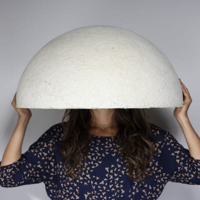 Danielle Trofe Design